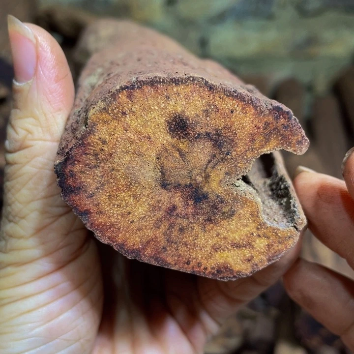 降真香定制缅甸小叶降真香