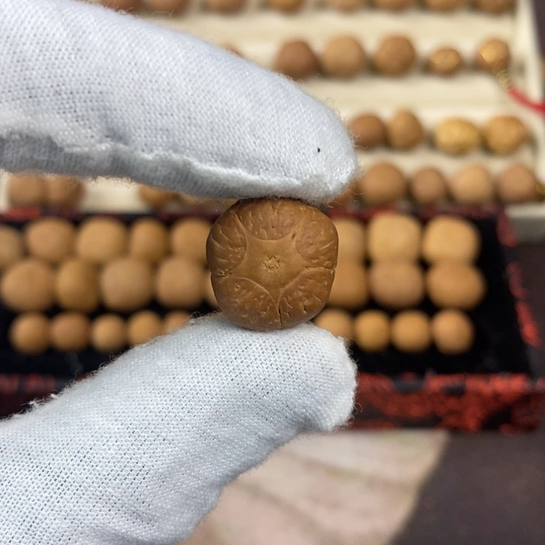 凤眼菩提吊坠15.8五星单颗