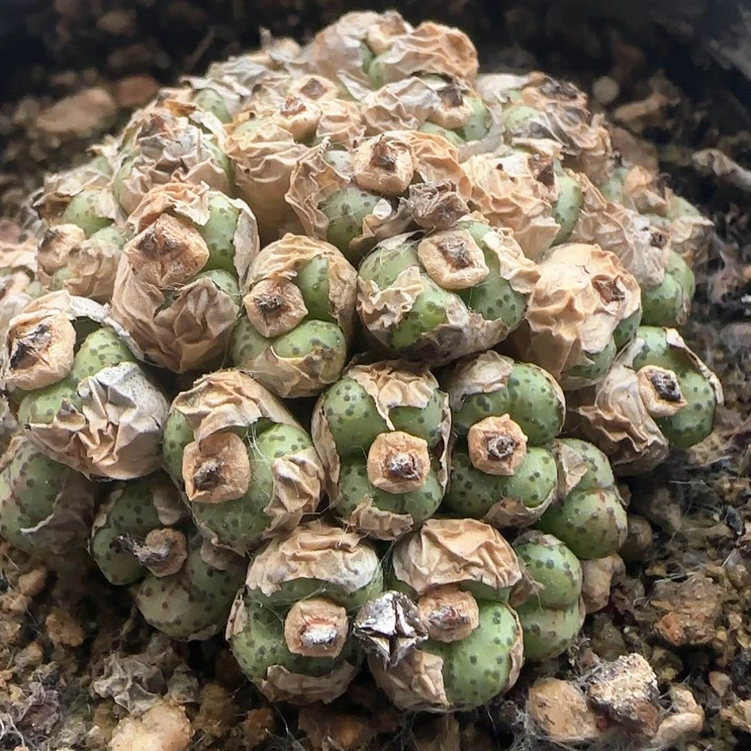 开播福利杂交37962