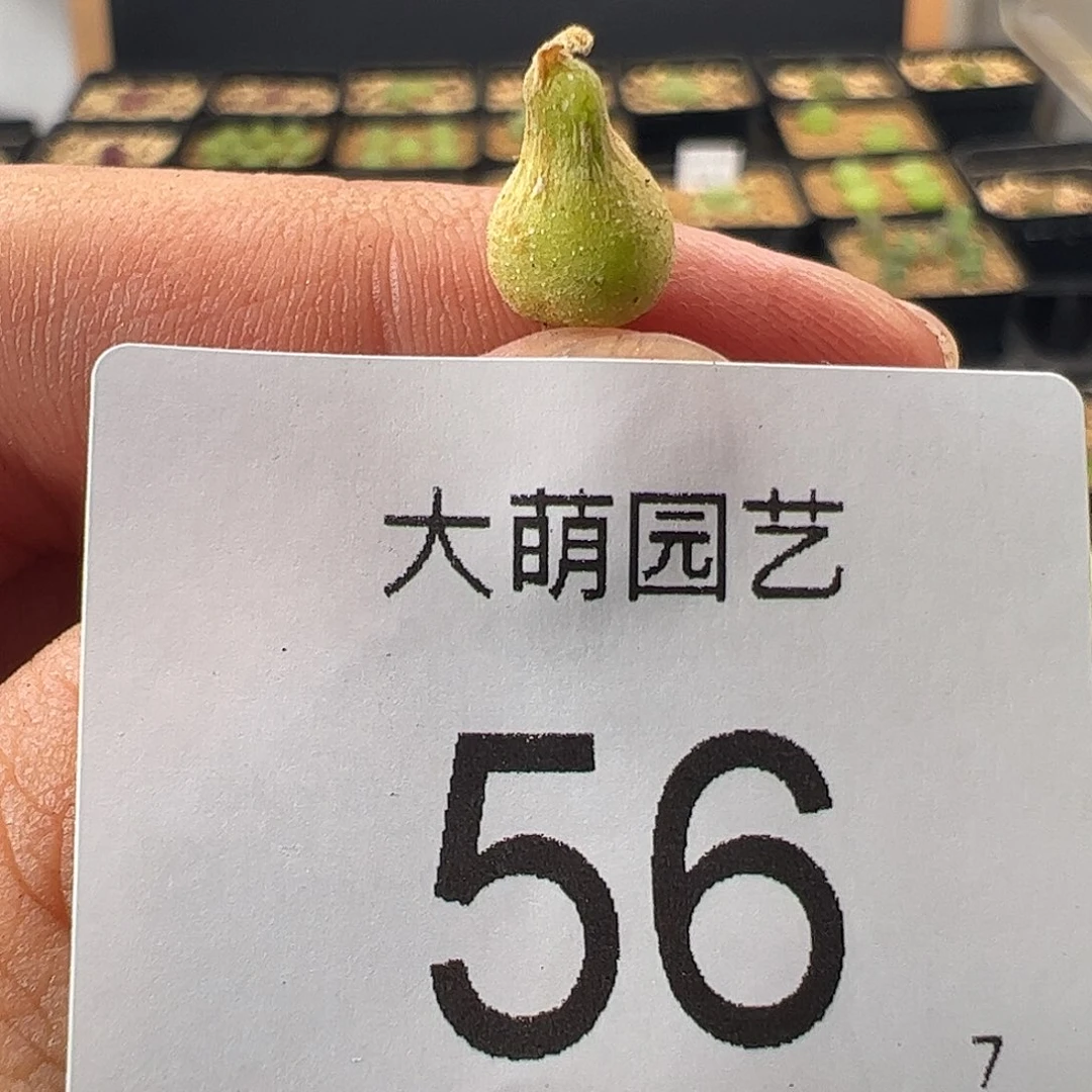 000056 一物一拍……