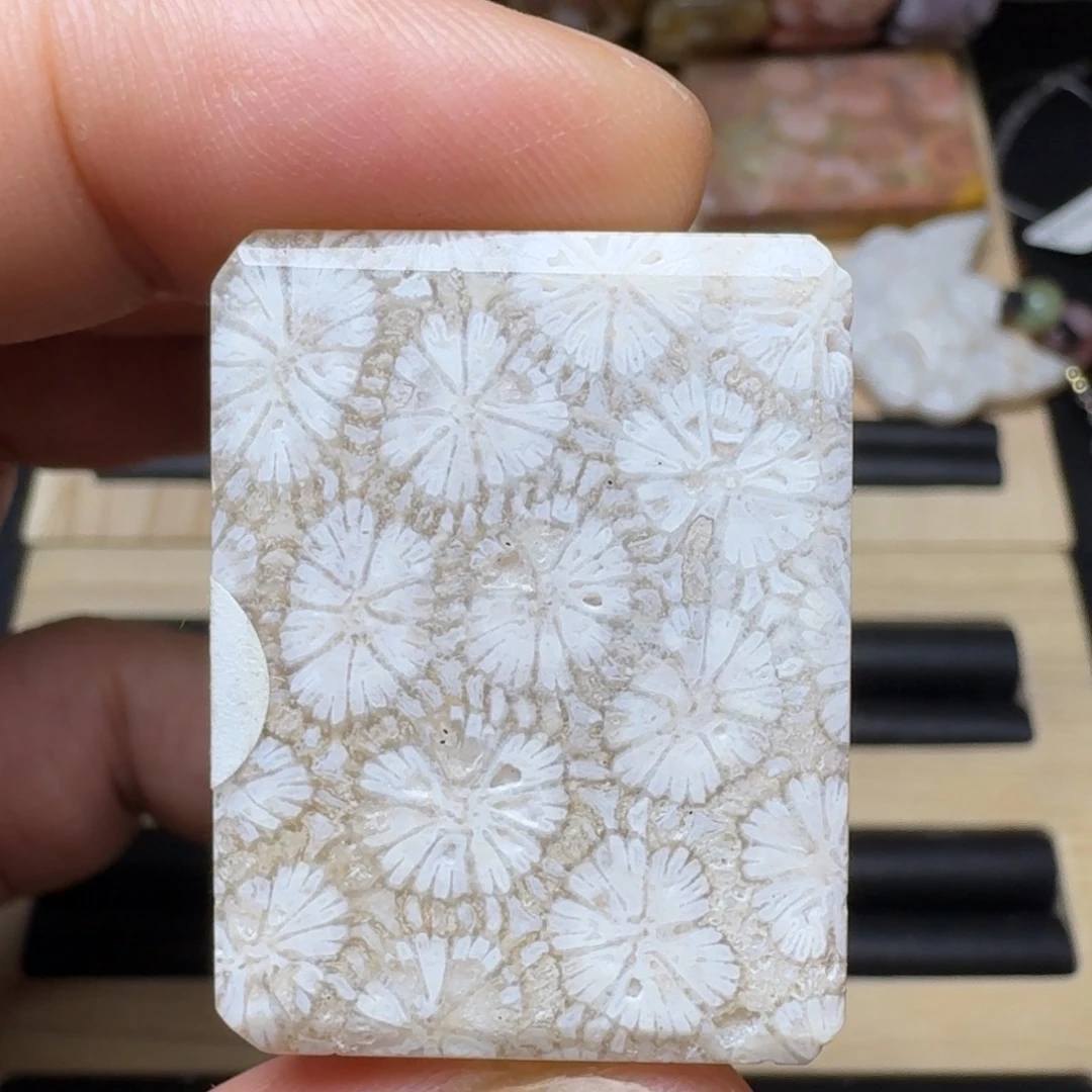 未镶嵌纯天然色有机玉石保真色硅化玉
