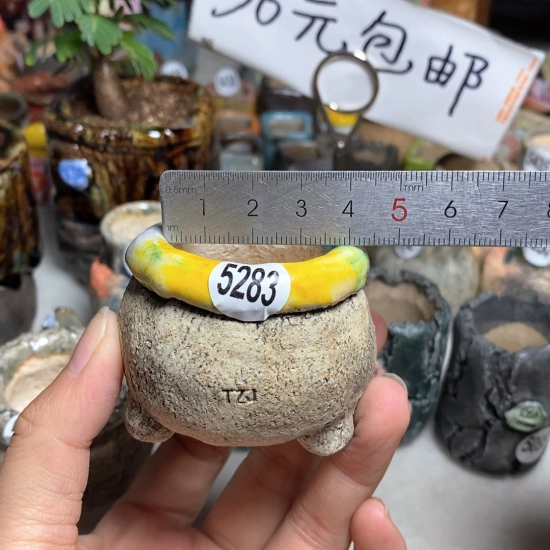 拍3送一个小礼物