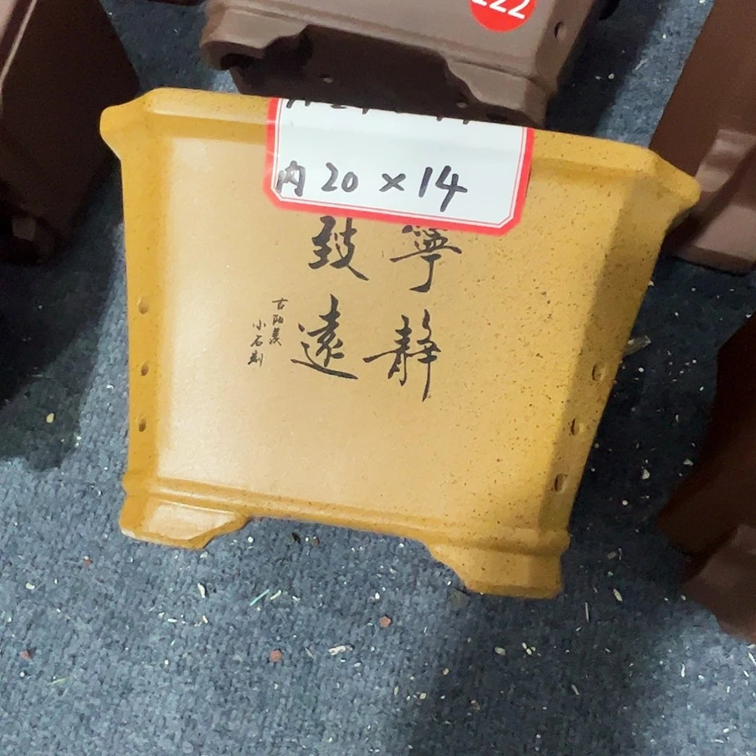 紫砂其他紫砂花盆