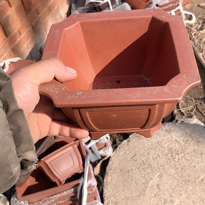 紫砂哈哈真的是太给力太火爆了