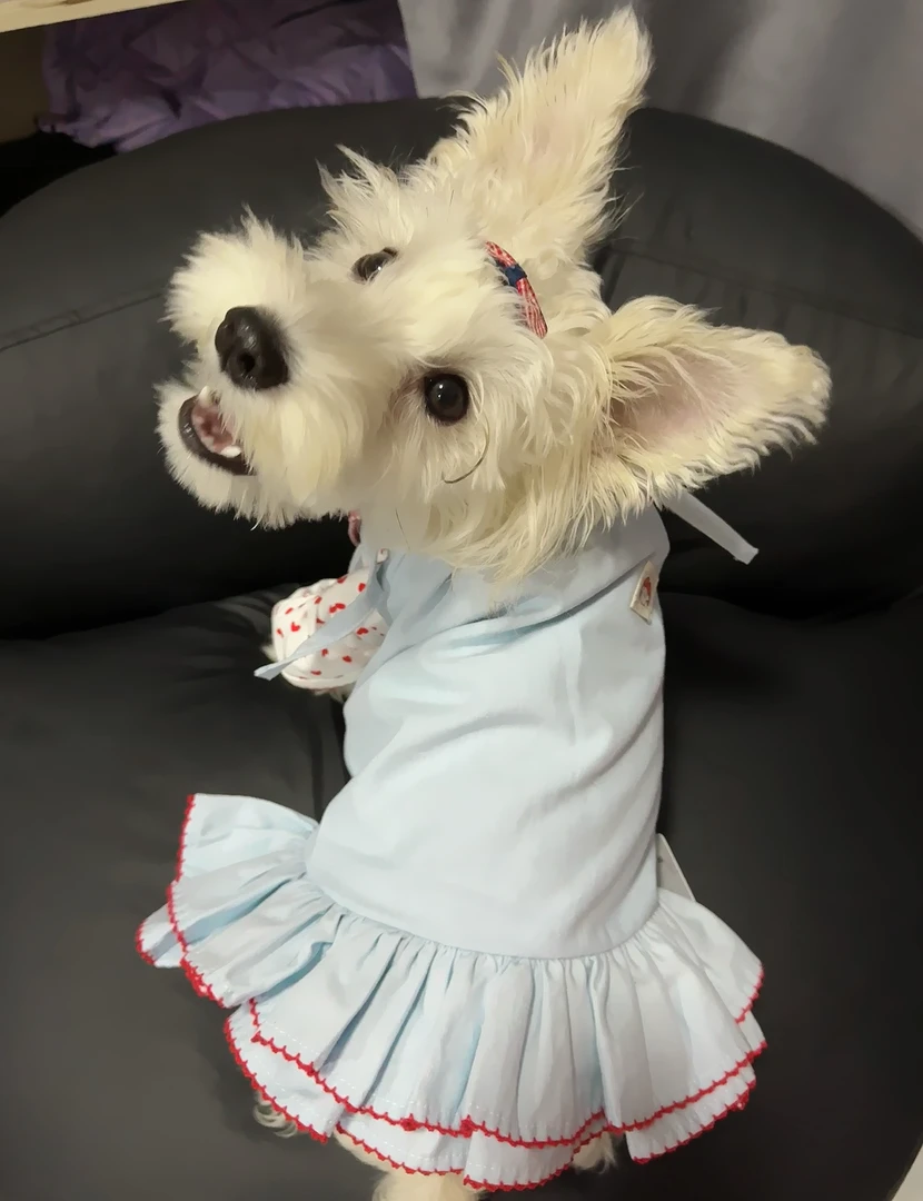 浅蓝色牛仔爱心套装
