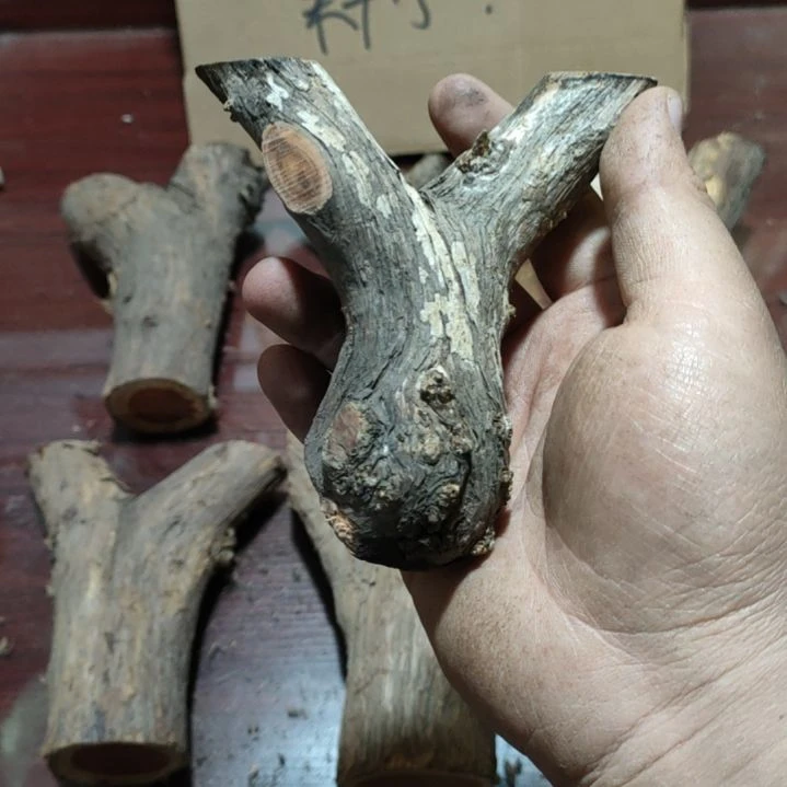 张***长大果紫檀（缅甸花梨）