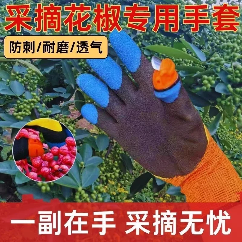 摘花椒好物摘花椒专用手套采摘花椒防刺手套农用工具园艺剪拇指刀