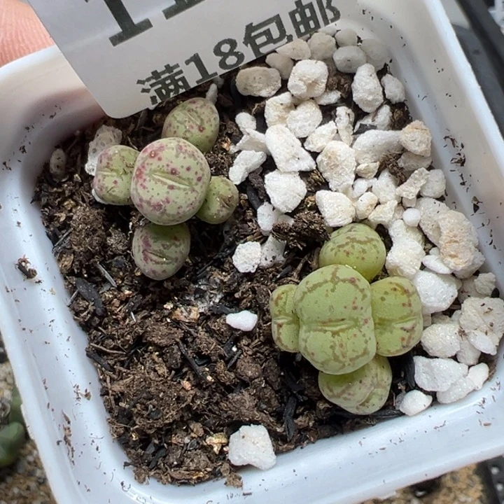 【闪购商品】1259……