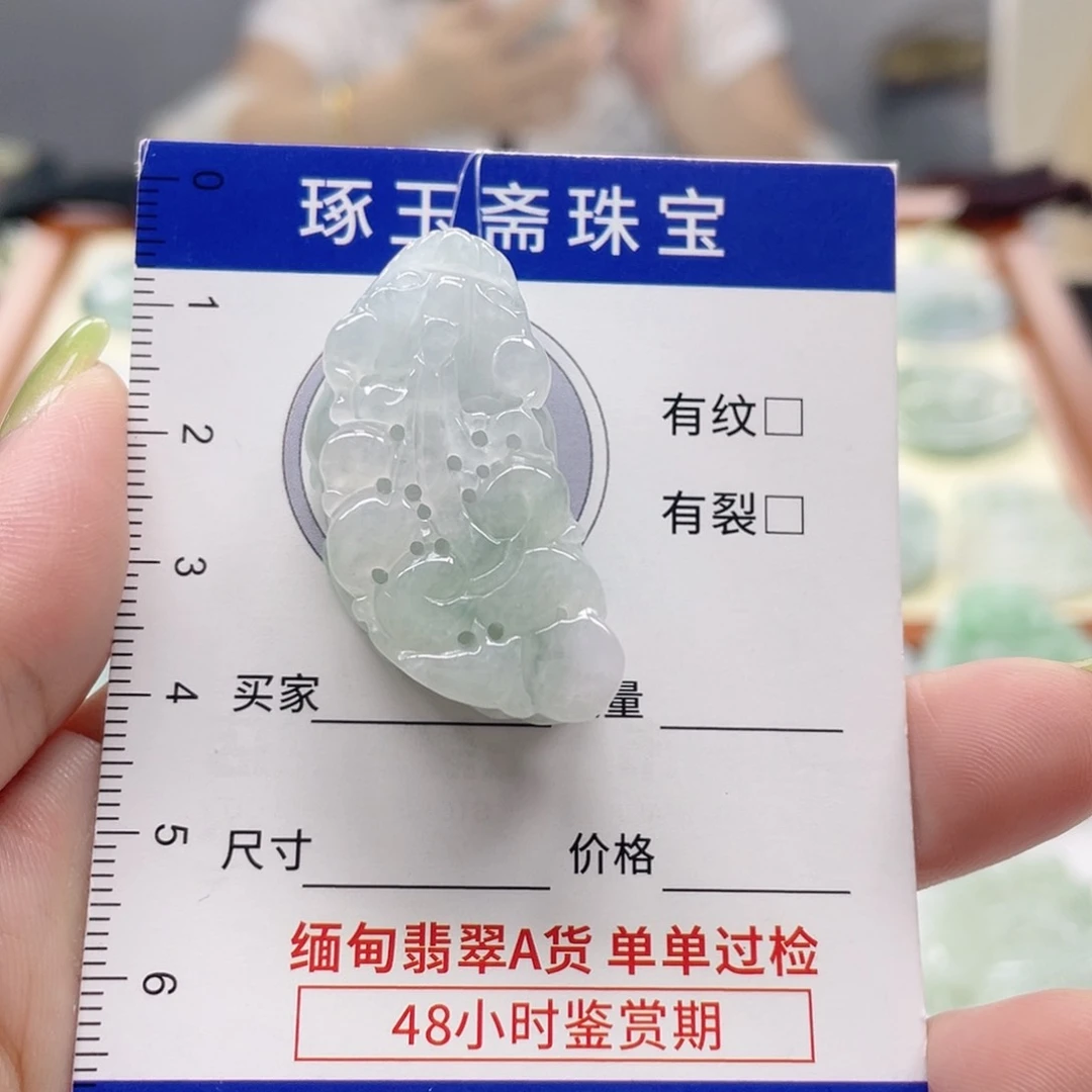 颈饰未镶嵌翡翠貔貅