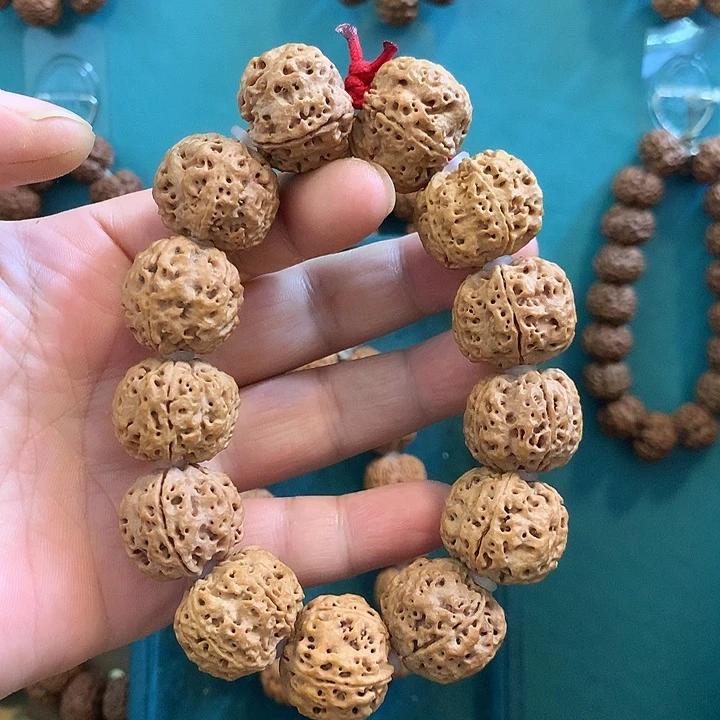 手串金刚菩提梁蜂王