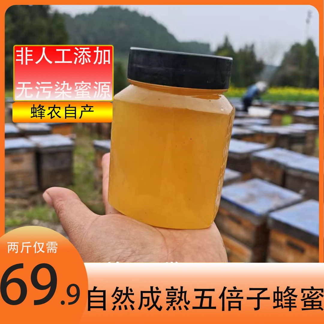 拍一发二到手两斤五倍子蜜蜂【杨姐蜂场推荐】天然源蜜蜂蜜包邮到家