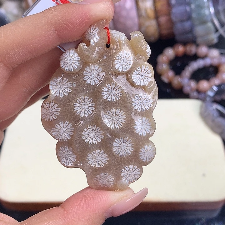硅化珊瑚（珊瑚玉）未镶嵌吊坠(赠链)1号上新雕刻皮花