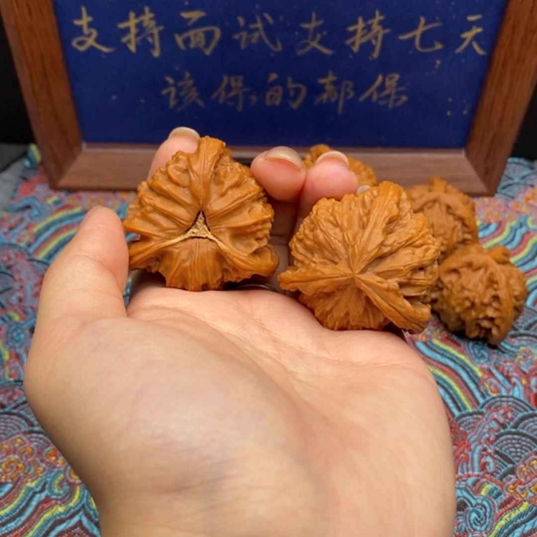 【闪购商品】己*置白狮