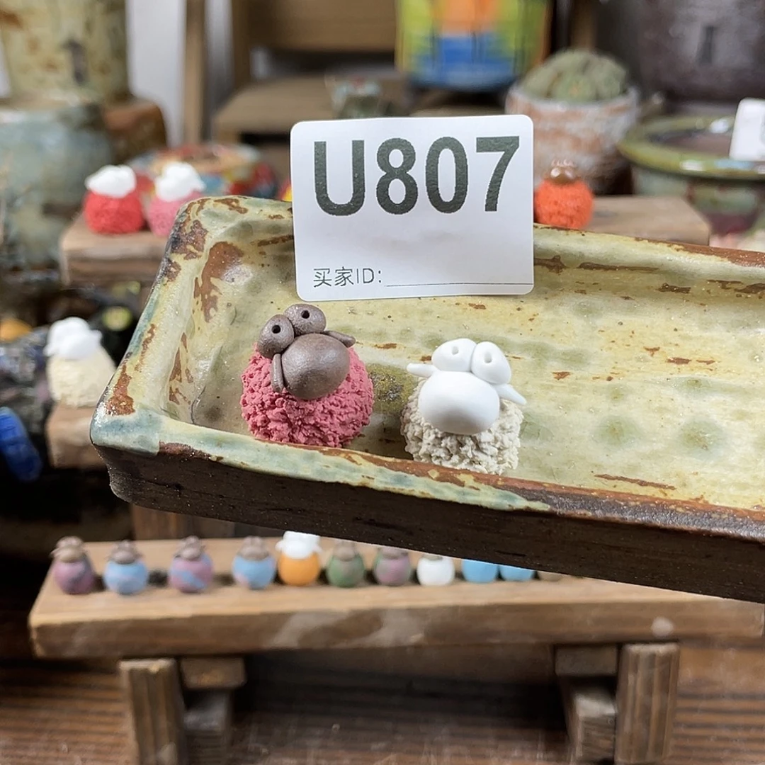 魔***灵坛子姐花盆 小羊压盆石