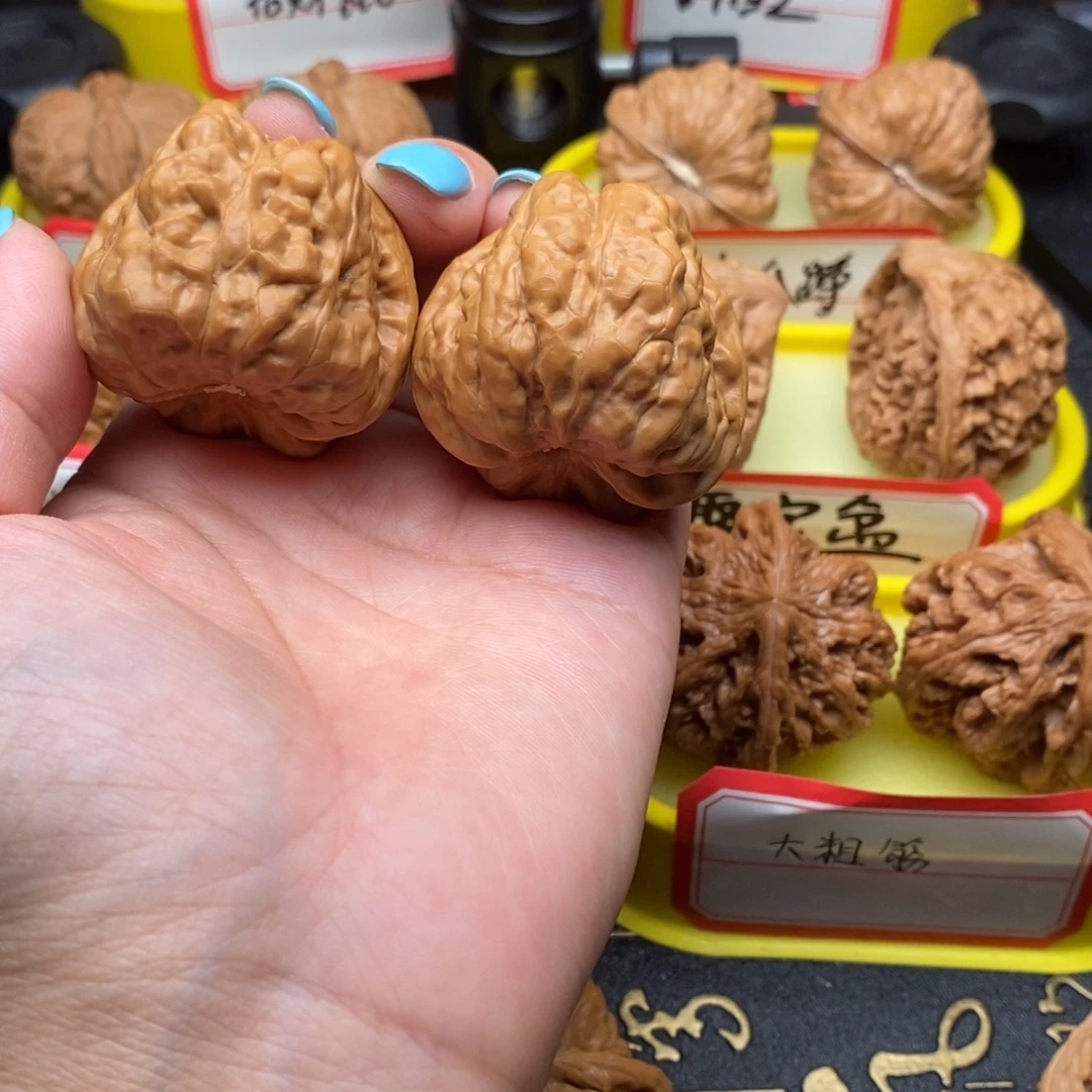 博***菩提籽类三角蛙蛙