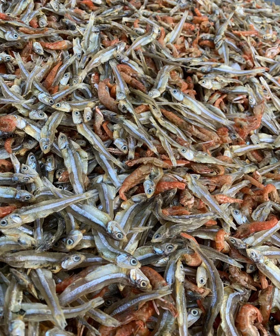 广东茂名博贺渔港自家船晒鱼虾烩杂（半斤或1斤）海产干货包邮