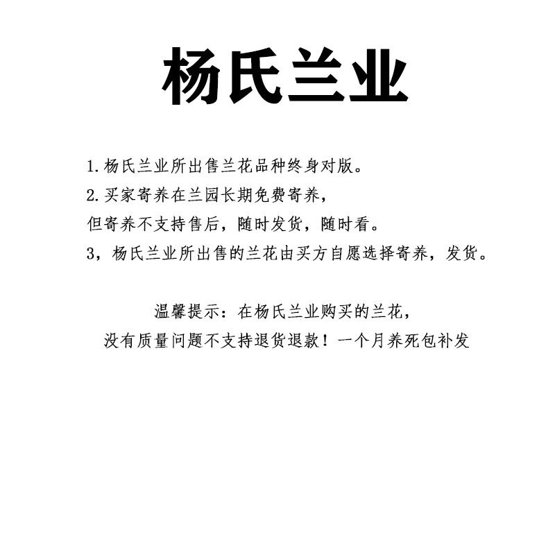 兰花直播间【一物一拍请勿乱拍】