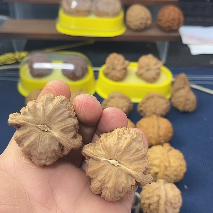 全品无休三角白尺寸42核桃