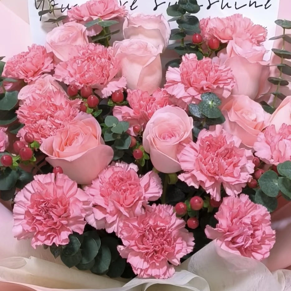 粉玫瑰+粉康乃馨+红康乃馨+配草+鲜花营养液