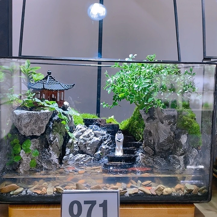 无花朵新款玻璃花房