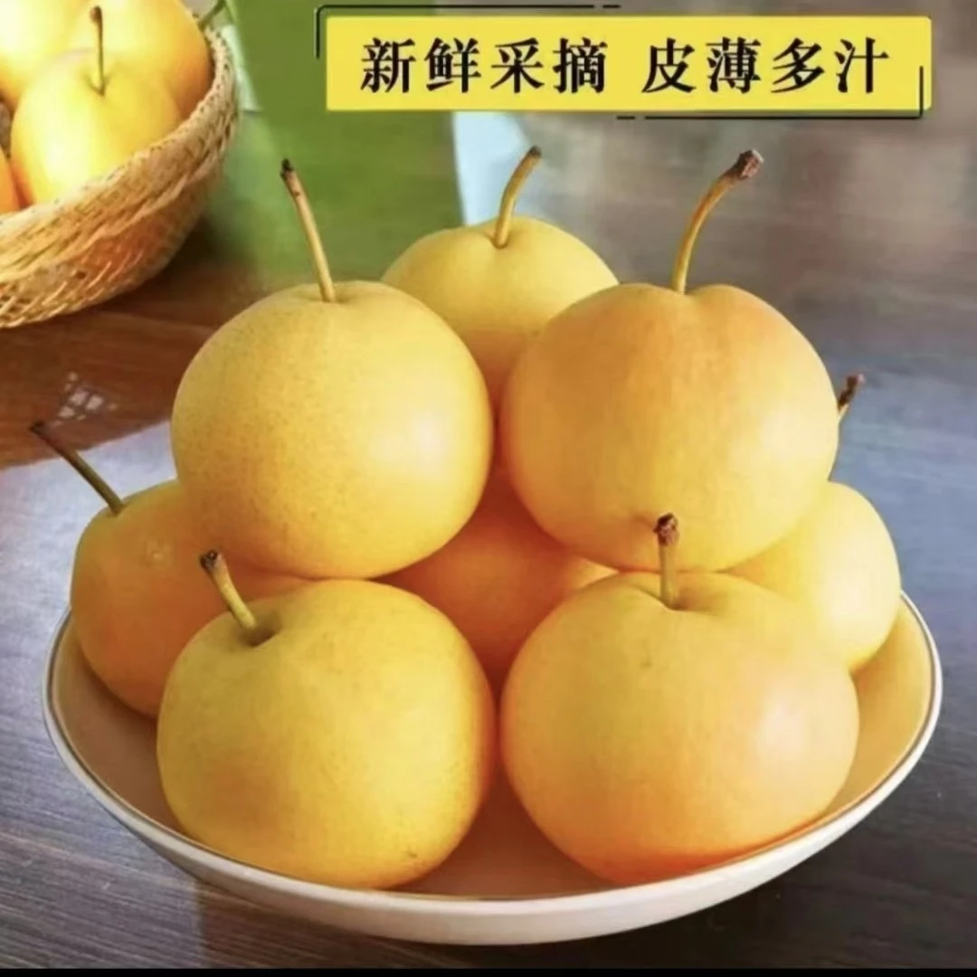【京东包邮】家庭装正宗辽宁鞍山（南果梨）（香水梨）软糯香甜产地直发