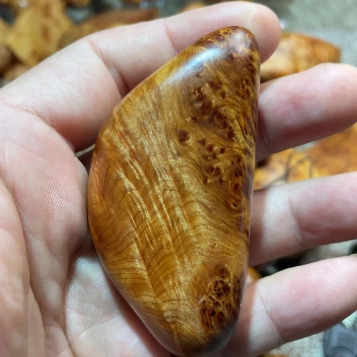 其他柏木（崖柏）把