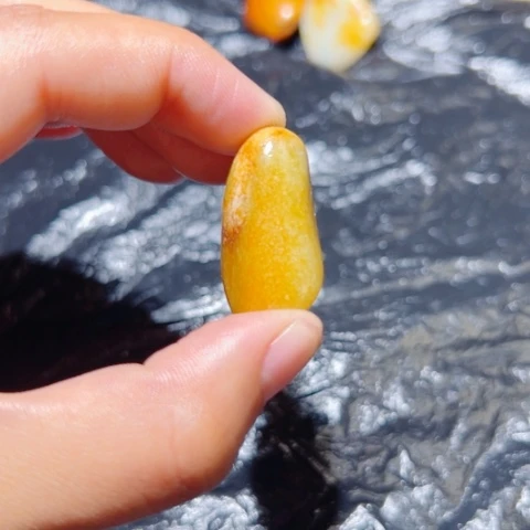 和田玉（子料）未镶嵌颈饰10.7克