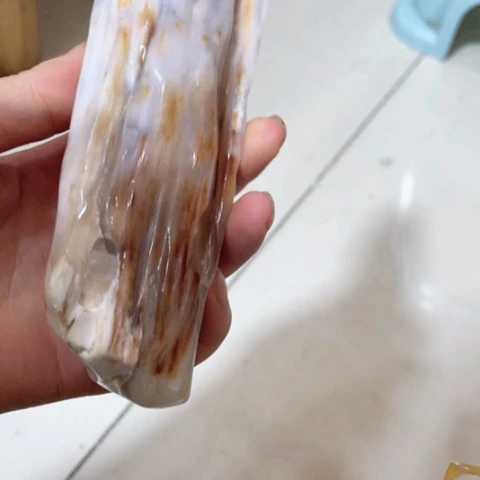 天***馆硅化玉树化玉摆件未镶嵌