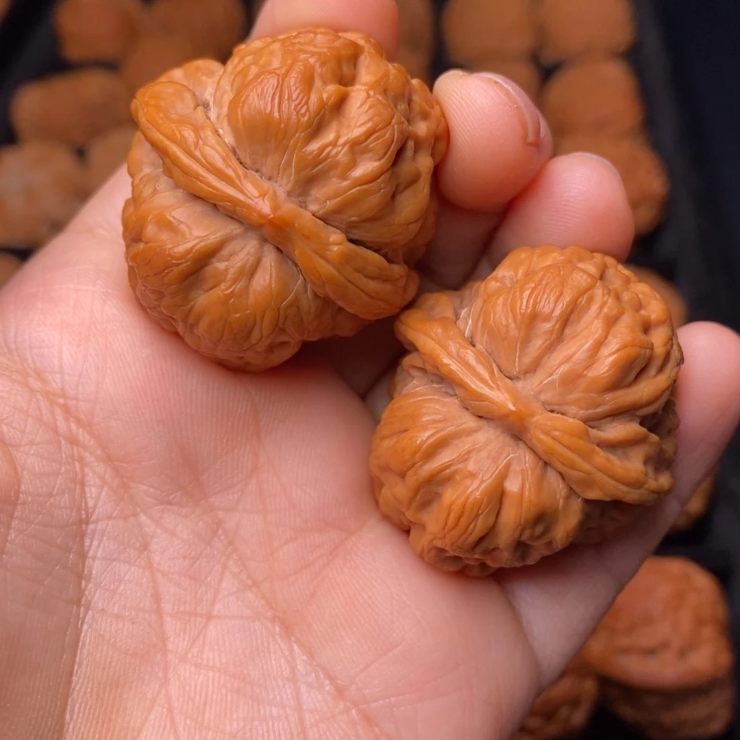 秦岭野生文玩核桃
