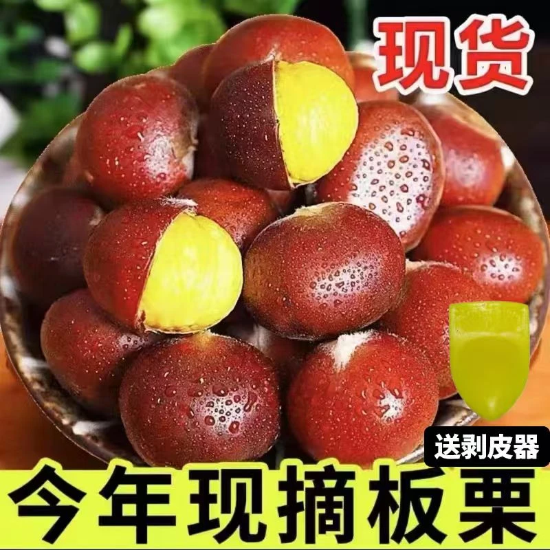 【买3斤送2斤】新鲜现摘高山板栗清脆甘甜鲜香生栗子难剥皮