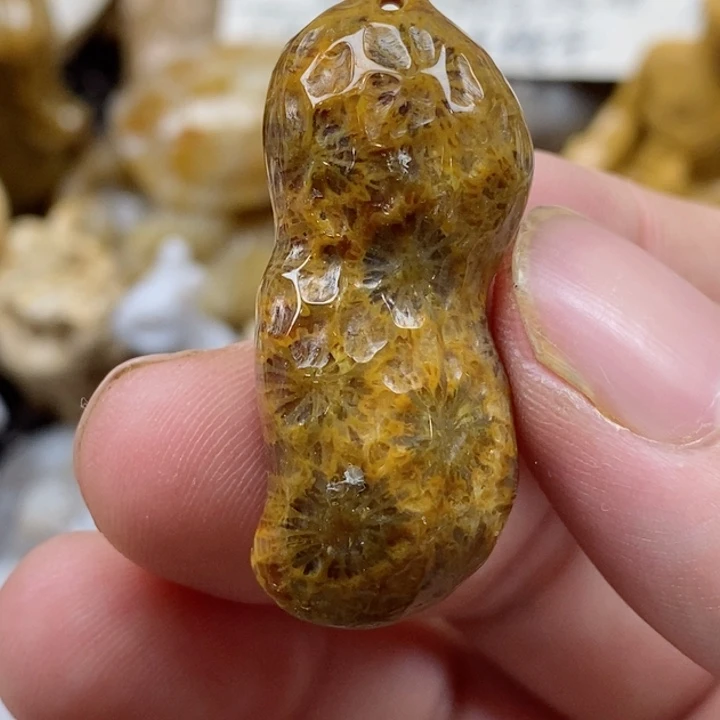 颈饰未镶嵌硅化珊瑚（珊瑚玉）