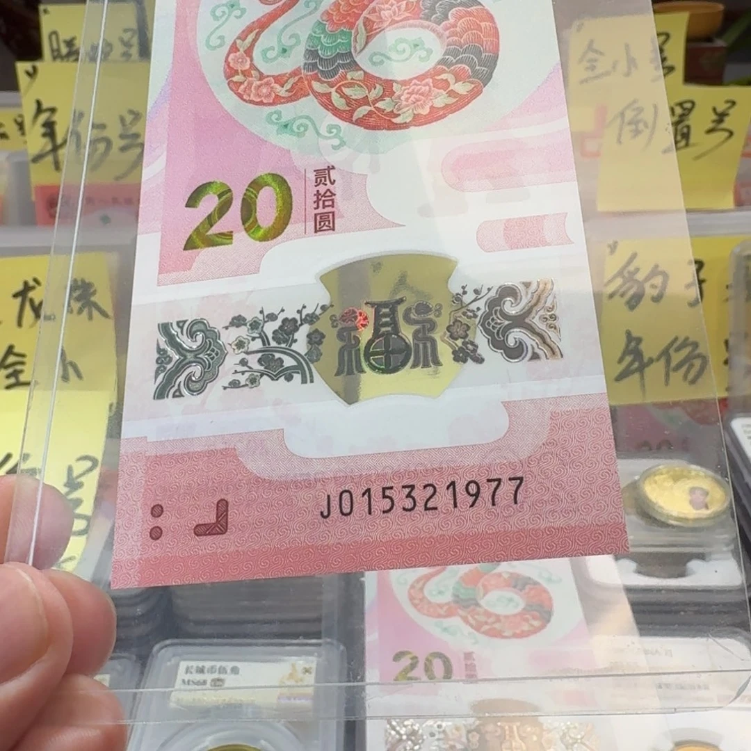 塑料及*雨裸，蛇钞015321977