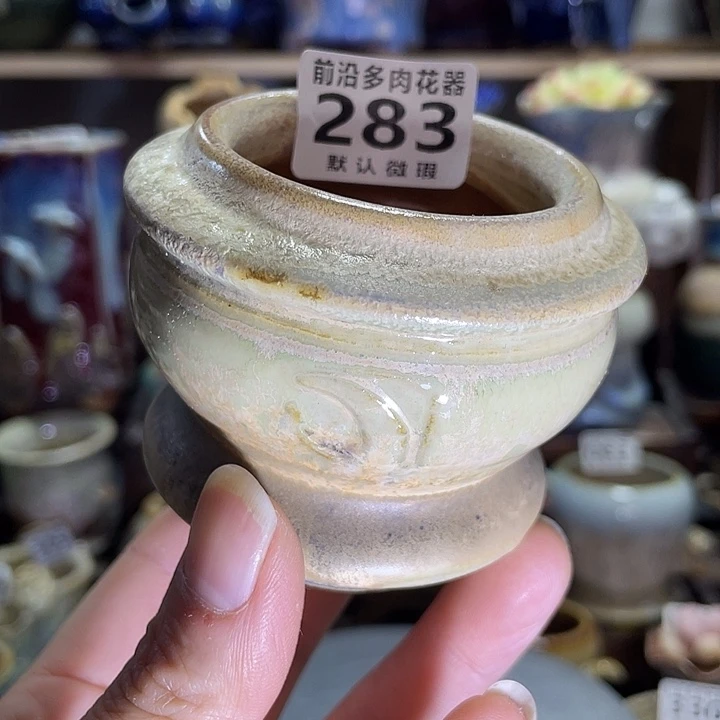狼盆内口径5高度6