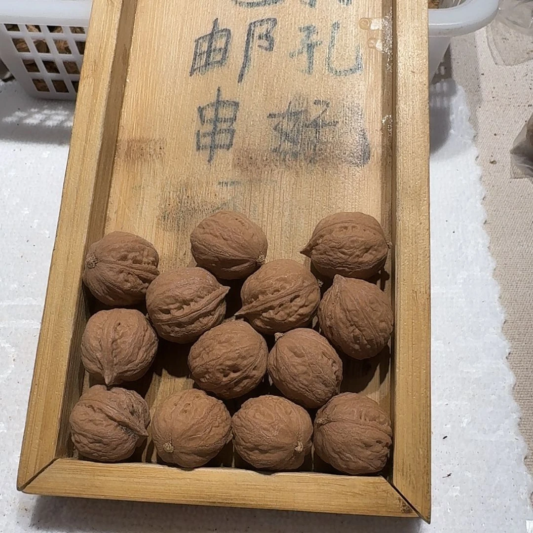 核桃手串/手链40号边20肚22高23