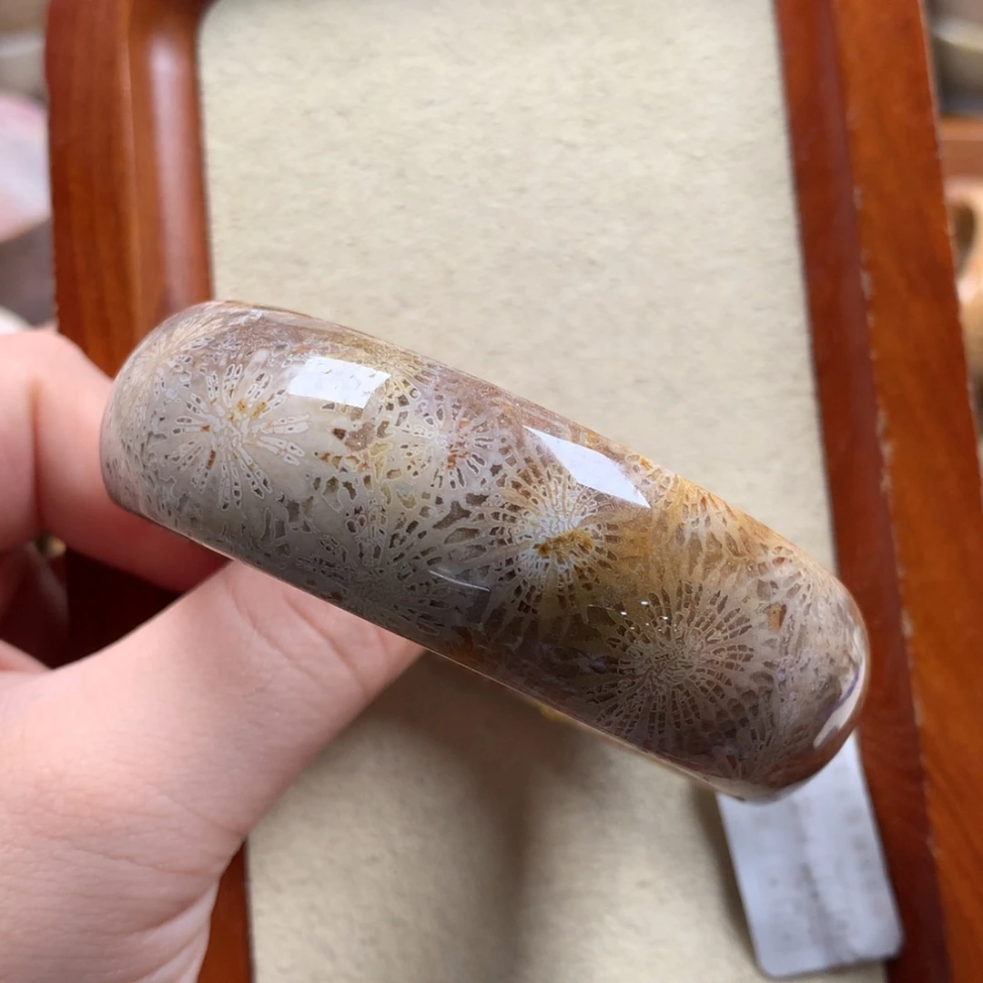 未镶嵌56.9圈口漏150/个。18硅化珊瑚（珊瑚玉）