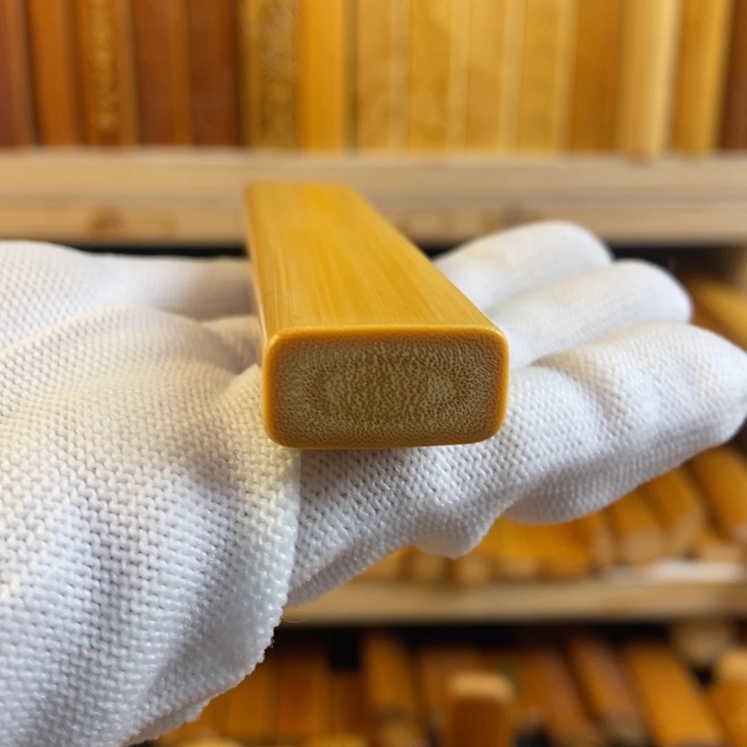 竹实心玉竹 一物一图