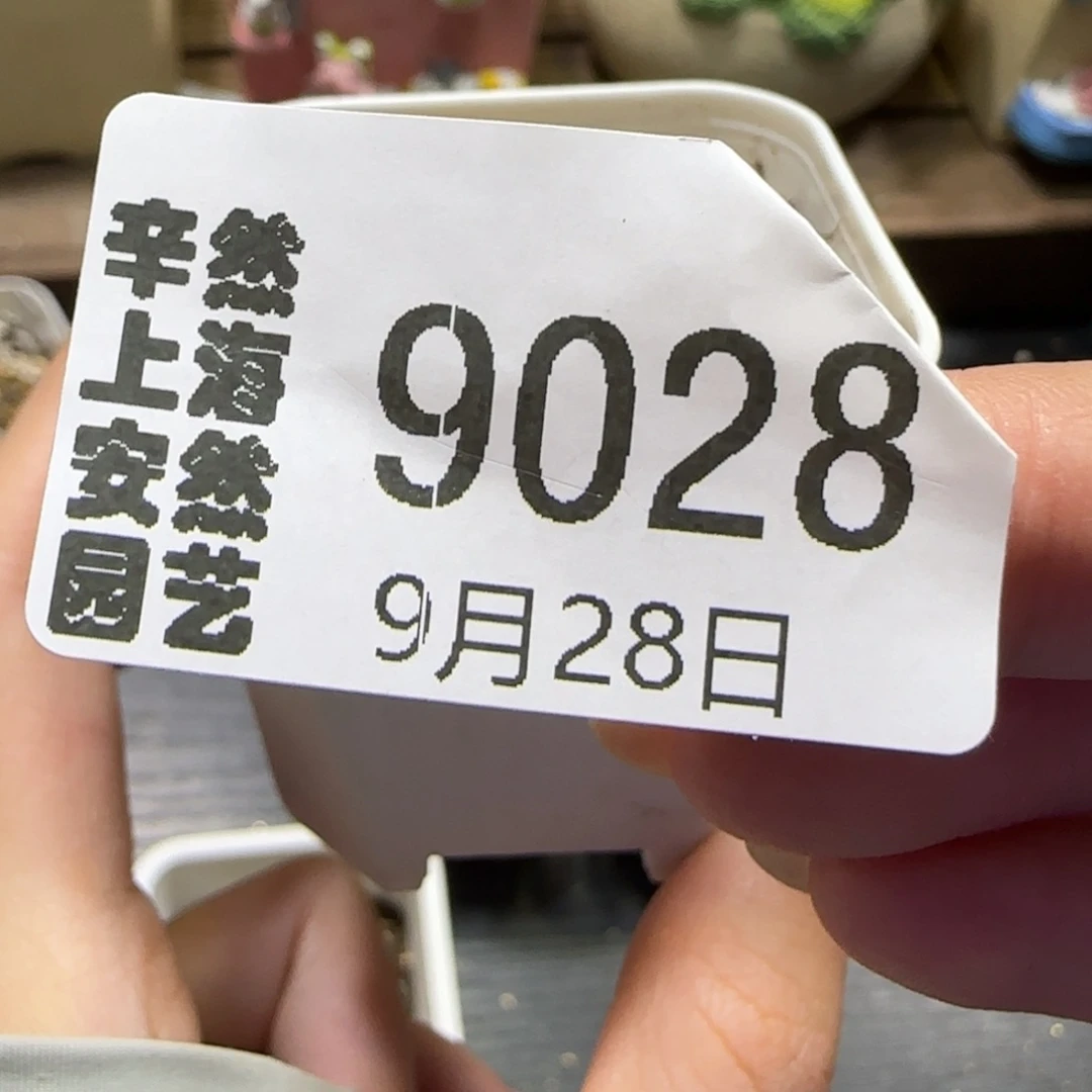 唐***香9.28。  下播福利。 9028带盆发