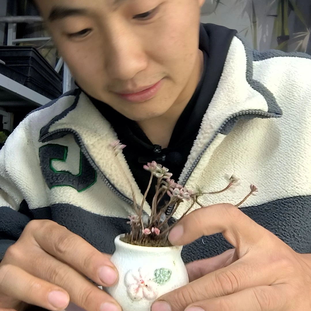 米*雪中青园艺一物一拍288