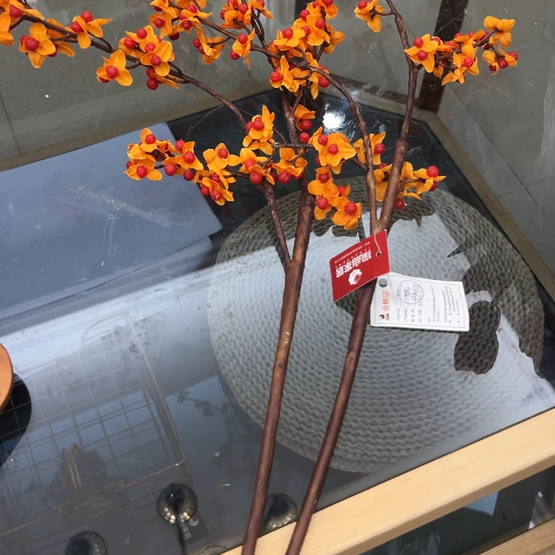 抖音直播间福利南蛇藤70cm