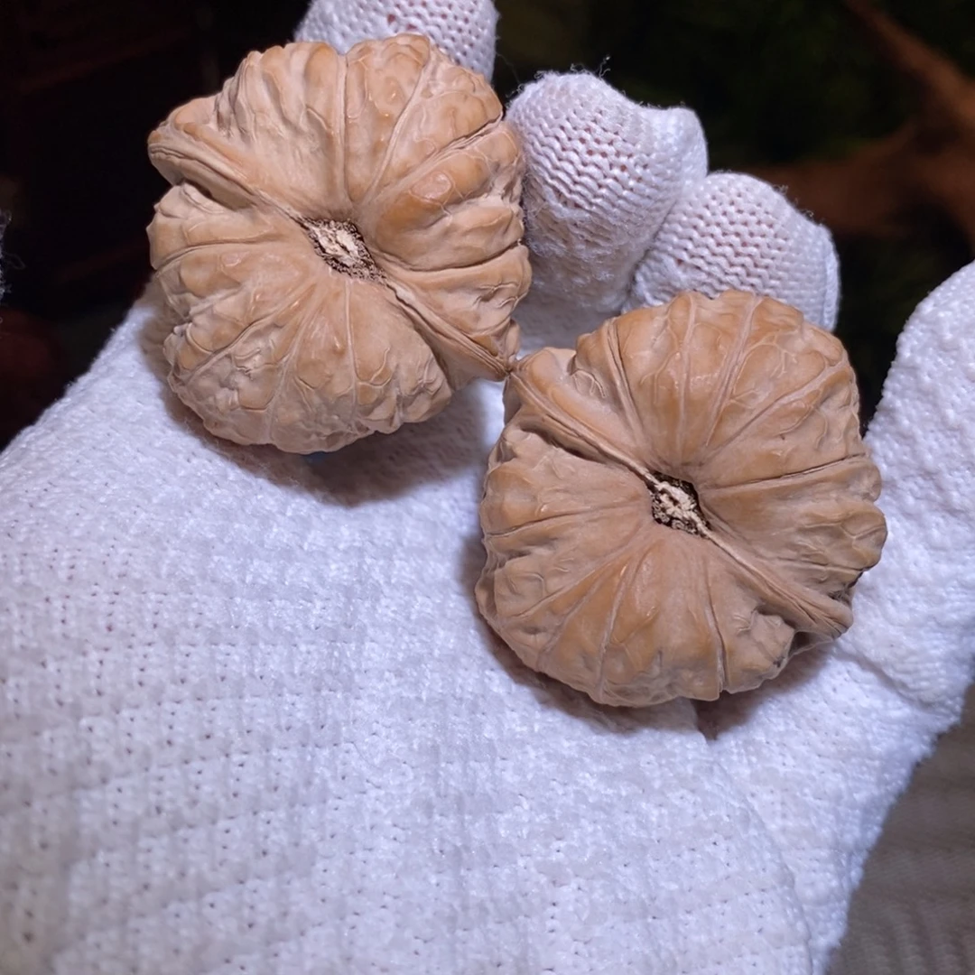 42尺 全品无修白茬 25头茬 南瓜
