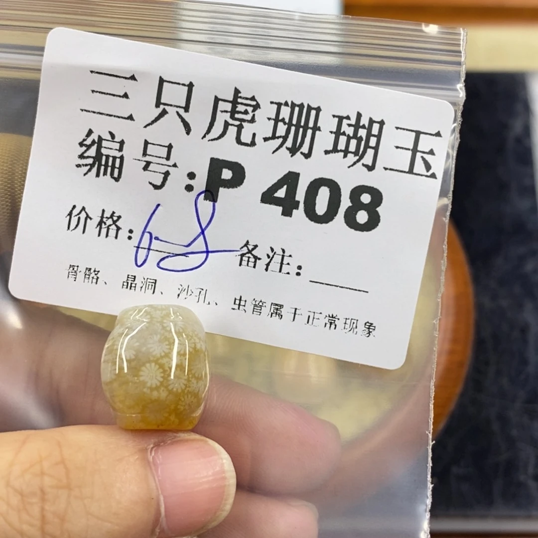 硅化珊瑚（珊瑚玉）1未镶嵌初**蛰