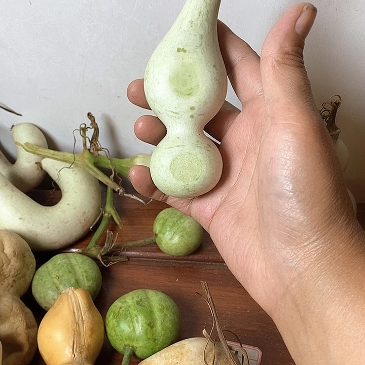 吥***惑青皮葫芦手把件摆件