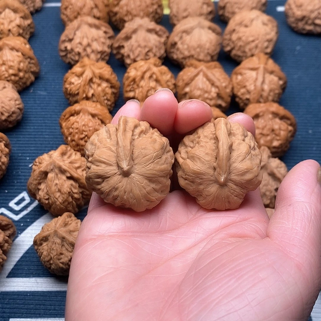 橄榄核手串/手链一帆风顺36