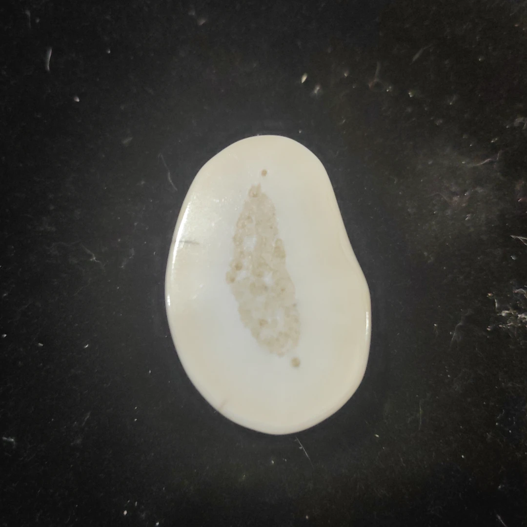 猛犸猛犸虬饼子WW317