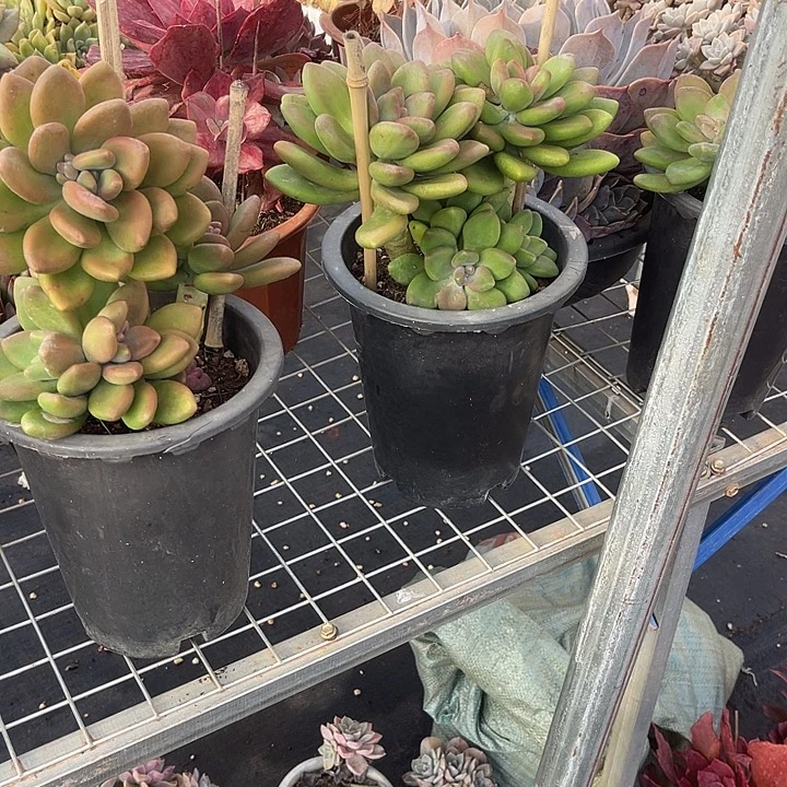 煥***两单包邮，全场炸福利，3颗