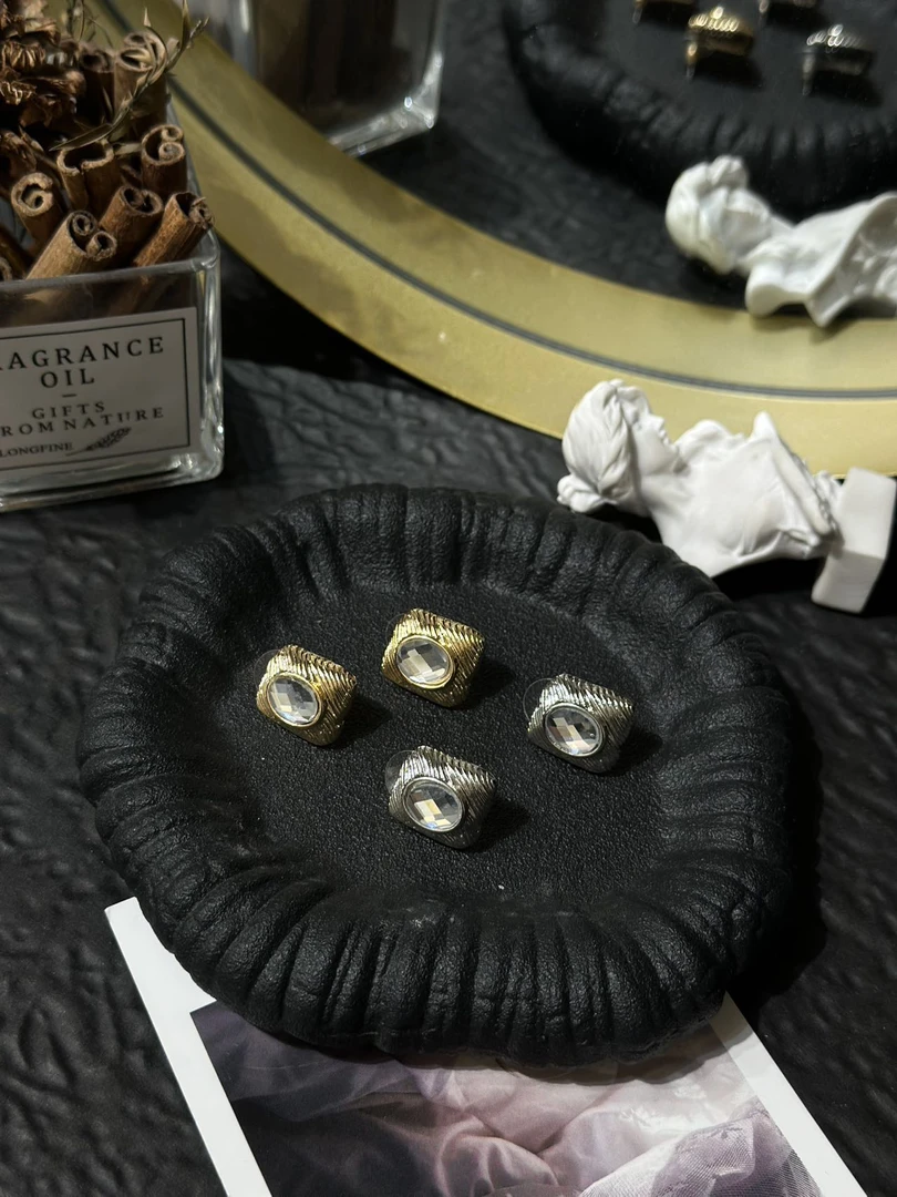 钛钢耳饰 LARVINA钻耳环 两种颜色