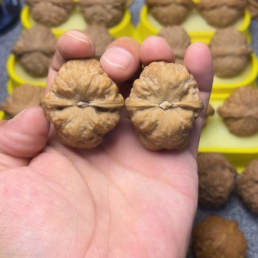 G****把件文玩核桃37尺，古蝉