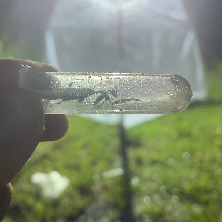 吃v成功春归何处v好尴尬