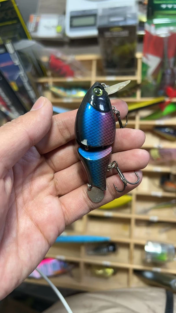 20250217-14 路亚饵