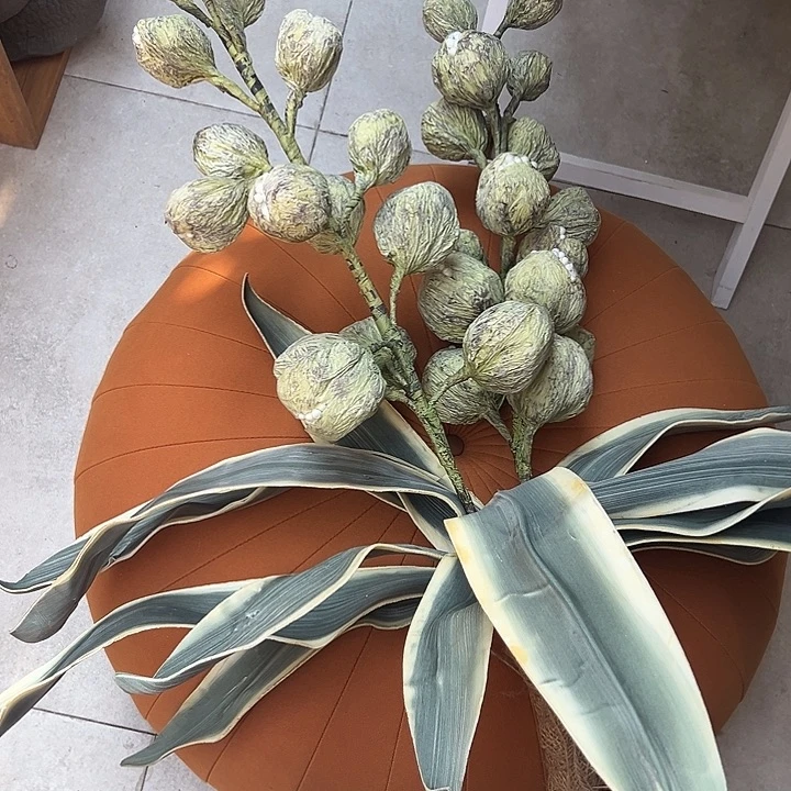 一口价 禁果花束福利